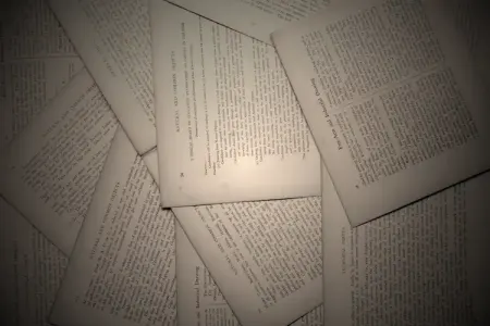Research Rabbit vs Connected Papers: Which Is The Best Choice?