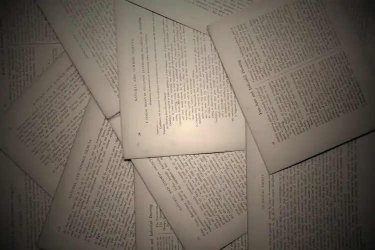 Research Rabbit vs Connected Papers: Which Is The Best Choice?
